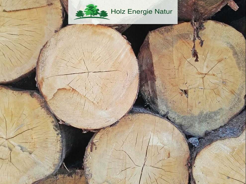 Abete rosso: un gigante della natura